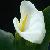 ������ ������� �� ����� ���